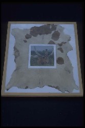 Click for details and enlargement.
