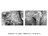 
		Click for details and enlargement.